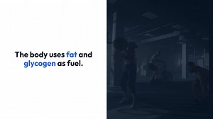 Effective Fat Burning Strategies