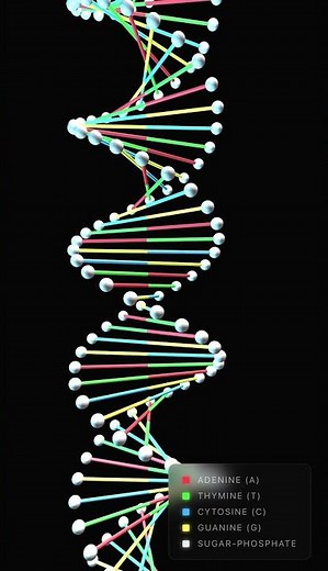 DNA the code of Life