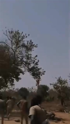 #Politique | Côte d’Ivoire vs Burkina Faso La tension monte au nord du pays, désamorcer soldats ivoiriens auraient traversé la frontière ivoiro-burkinabè pour se retrouver dans un village burkinabé... Selon les villageois, le drapeau burkinabé aurait été remplacé par celui de la Côte d'Ivoire... Qu'en est il réellement ! | Cash Ivoire 1