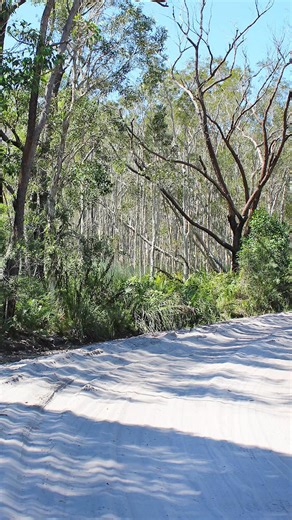 Are you looking for the best wheel alignment for your wide-track GR Sport or Rogue Hilux? Our new Chromoly UCA’s offer exactly that—fully adjustable, suiting up to 4 inches of lift, and featuring a Teflon-coated ball joint and billet chromoly spindle for the longest life and ultimate strength. Available now: https://tinyurl.com/uhjezcar #superiorengineering #superior4x4 #superior #grsport #grhilux #roguehilux #rogue #gazooracing | Superior Engineering