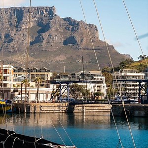 7.2K views · 141 reactions | Marvelling at the bridges as they open....