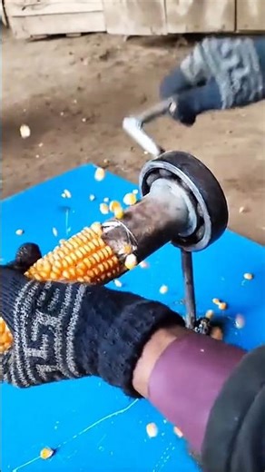Manual Corn Shelling Process Using a Hand-Cranked Traditional Tool