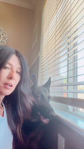 When UPS shows up!! 💀 the struggle is REAL!!! #fyp #dogsoftiktok