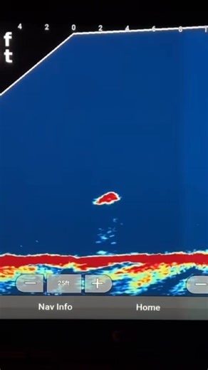 25K views · 163 reactions | Big cats only!  : @tightlineoutdoors | Bass Pro Shops | Facebook