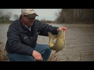 Catfish Fishing and Panfish Fishing (Full Length TV Show)