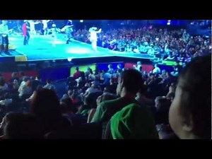 The Wiggles Concert