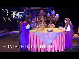 Beauty and the Beast Live- Something There