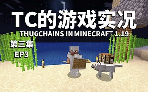 【Tc实况】搭建我的第一个家！—— 我的世界 Minecraft Ep3 - 第3集