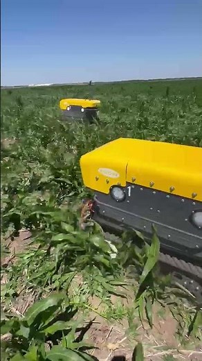 Greenfield Robotics BOTONY Robots Swarm a Field