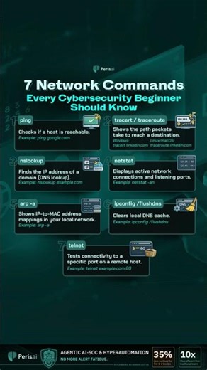 7 Network Commands Every Cybersecurity Beginner Must Know