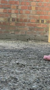 41K views · 59 reactions |  'I go barefoot in public all year round'. Hear from the Bourne man who never wears shoes: bbc.in/43rml0E | BBC Lincolnshire | Facebook