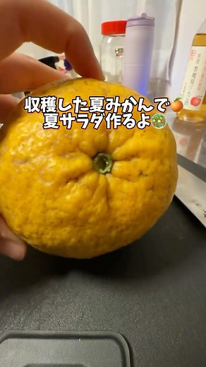 裏ペコ夫婦@福岡グルメ on Instagram: "🍊梅酢で夏みかんサラダ🥗 採れたてお野菜でサラダ作ったよー🥗 美味しかったー😋 #農業 #農業インスタグラム #農業ガール #農家 #青梅 #梅酢"