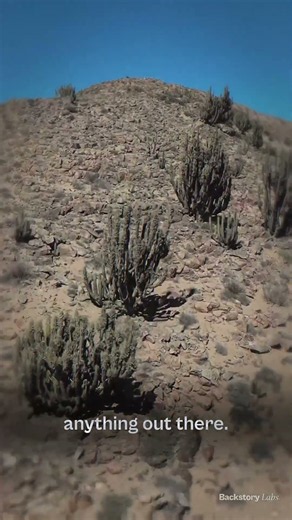 The World's Driest Desert Bloomed Bigger Than Connecticut