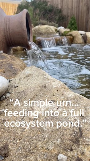 Natural Ecosystem Pond with Cascading Waterfalls | Wildlife Pond Design