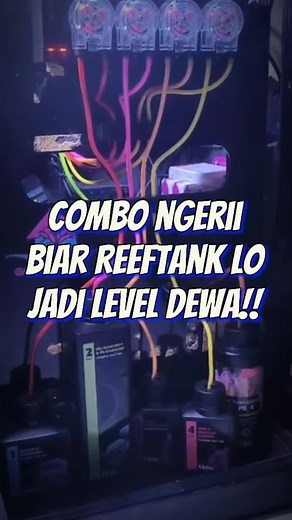 ✨ Mau coral di reef tank kamu tumbuh cepet dan warnanya makin cetar. 💥⁣ Cobain Red Sea Reef Complete 4Part, solusinya buat coral makin sehat, tumbuh ngebut, dan warnanya ngejreng maksimal! #aquarium #marine #marinetank #reeftank #akuariumlaut #ikannemo #ikanhias #fish #reef #reeflife #akuarium #fyp #ikanlaut #ikanpredator