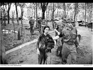 What Happened When Australian SAS Captured Female Viet Cong Operatives in Vietnam