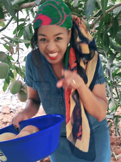 Exploring My Nairobi Home Kitchen Garden