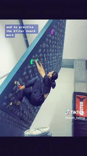 Sloth Falling on TikTok