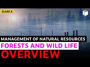 Forests and Wildlife | Chapter 16 | Class 10 | PuStack