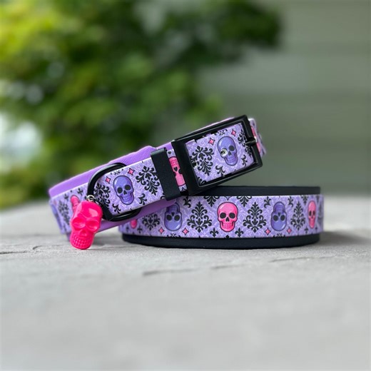 Pastel Gothic Skull - Biothane Dog Collar - Etsy