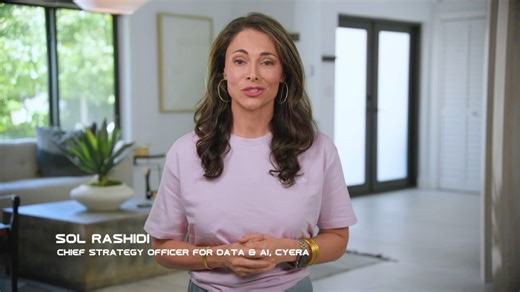 DataSecAI sizzle (Sol Rashidi)
