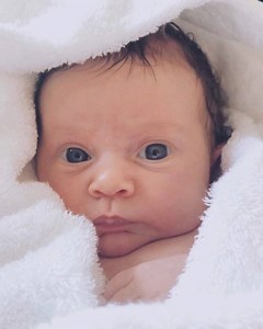 15K views · 838 reactions | Everyone says that there are always a few hiccups to overcome in the first few weeks. No one said they’d be this cute!  | The Londoner | Facebook