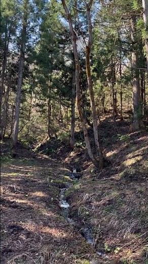 地球の水の循環 #農業 #自然 #地球 #循環 #グリーンニューディール