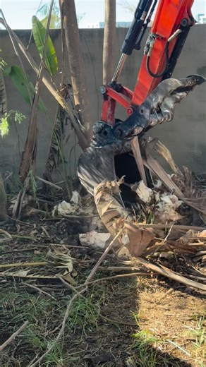 Gusmel Franco | Tree service in Miami on Instagram: "Franco Brothers LLC 🌳💪Tree Service • Junk Removal • Lawn Care • Fencing • excavation• Bobcat work•Concrete • stump removal. 7862816468 ☎️ #treeservice #bluecollar #lawncare"