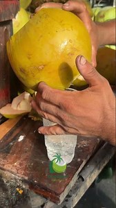 Coconut Cutting Techniques The Ultimate Guide to Going Viral