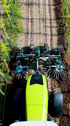 🔥 So bekämpfen Profis Unkraut in der Baumschule! 🌱🚜