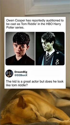 tom riddle in the new harry potter series?