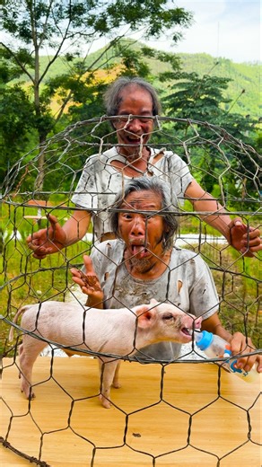 Big Bro's pig catching skills leave everyone amazed! 😲 🐖🐷🐽