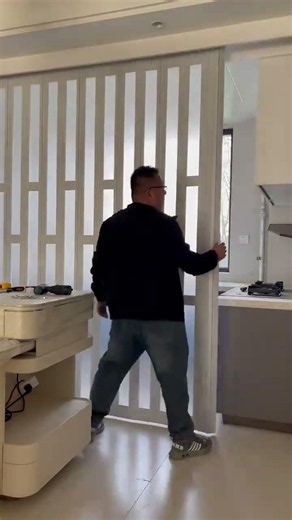 The Invisible Door You Didn’t Know You Needed!#doors #slidingdoors #home #screendoor