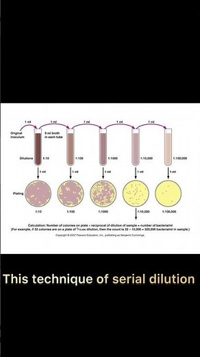 #Microbiology-how to prepare a serial dilutions?
