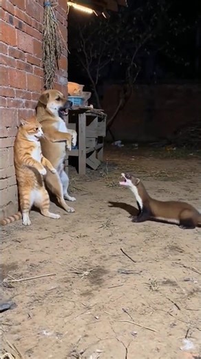 Problem solved 🤪😅😅??