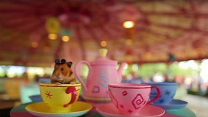 Tiny hamster has 'Best Day Ever' at Walt Disney World