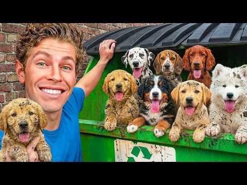 I Found 8 Lost Puppies in a Dumpster!