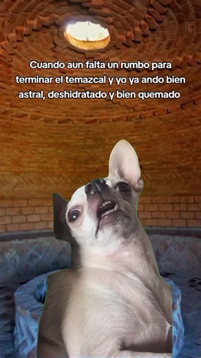 Experiencia Espiritual en el Temazcal