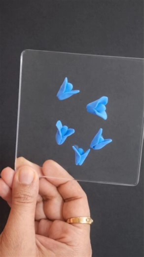 Aka Shiro Transforms into a Cute mini flower #flowers #transformation #art #shorts