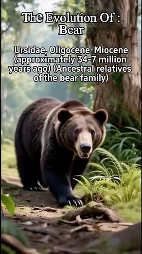 The Evolution Of Bear #bearevolution #prehistoricbears #moralstories