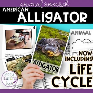 Animal Research and Life Cycle - ALLIGATOR
