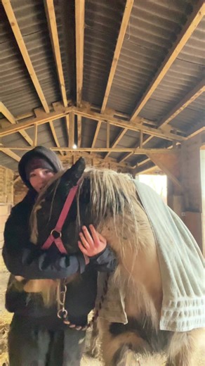 Celebrating British Farming and Horses