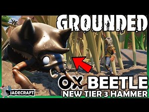 GROUNDED UPDATE! Black Ox Beetle And How To Craft A Tier 3 Hammer - Into The Wood Update 0.12 PTS