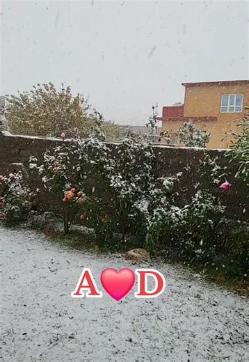 فيديوهات أنشأها asmat kalid (@asmat_kalid) باستخدام original sound - ✨ عــەشــق ✨