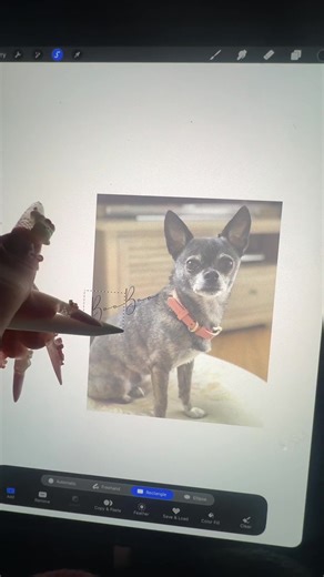 Creative Dog Tattoo Ideas for Animal Lovers