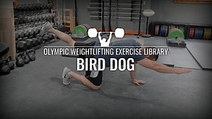 Bird Dog Exercise Demo Video & Info