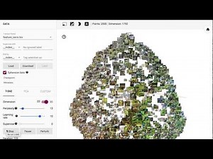 Embedding Visualization with TensorBoard