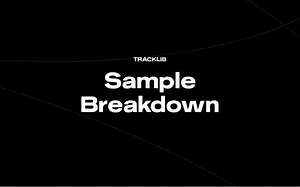 Sample Breakdown-2021年最伟大的采样合集