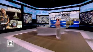 La saison des moules de Zélande est lancée: on pourra même les goûter revisitées en hamburger - RTBF Actus