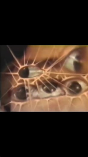 Lou Reed's "Don't Crack" PSA for the city of New York, 1986 #loureed #dontcrack #crackpsa #nycpsa #80spsa #80nyc #loureedpsa #publicserviceannouncement #1986tv #80stv #1986 | Night Flight